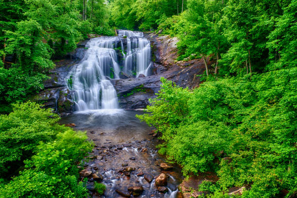 łysa rzeka spada szeroka perspektywa - tennessee waterfall stream forest zdjęcia i obrazy z banku zdjęć