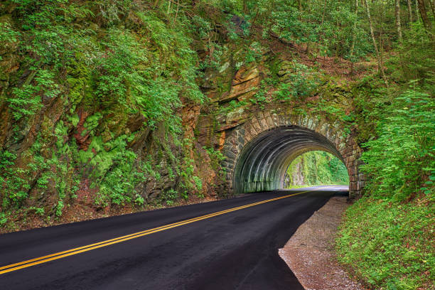 istock Smoky Mountain Tunnel in Spring 1044353824