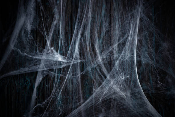 istock Halloween wooden background with spider net 1044360856