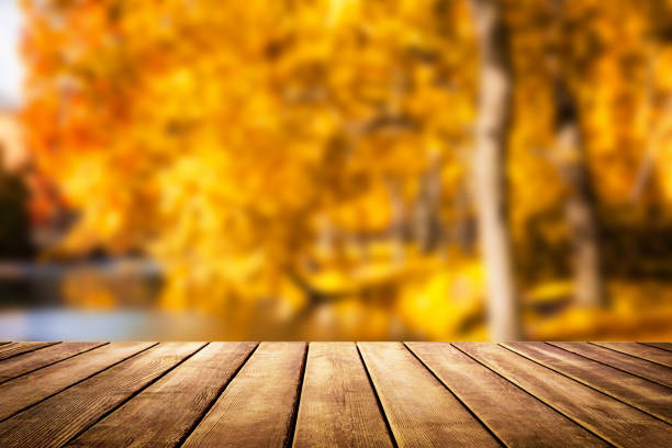 istock Wooden table top on blur autumn background 1044366576