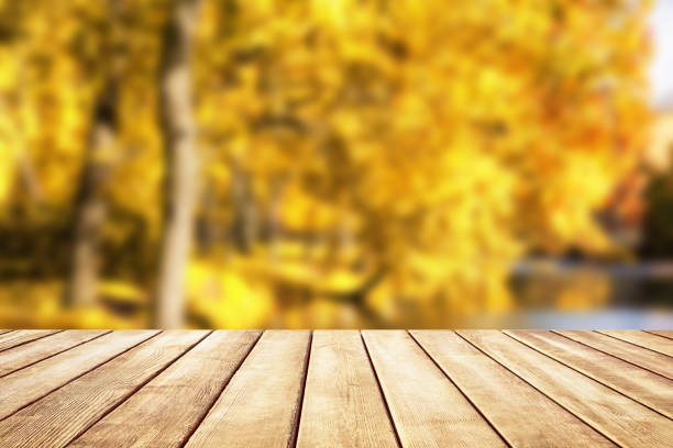 istock Wooden table top on blur autumn background 1044366846