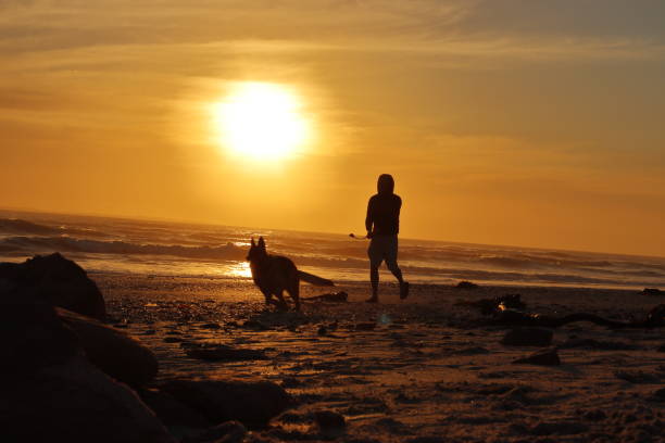 istock Orange Sunset with running dog 1044373032