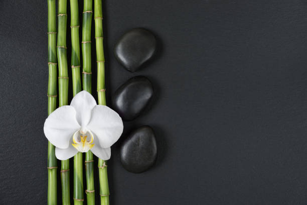 istock Zen stones, orchid flower and bamboo 1044376936