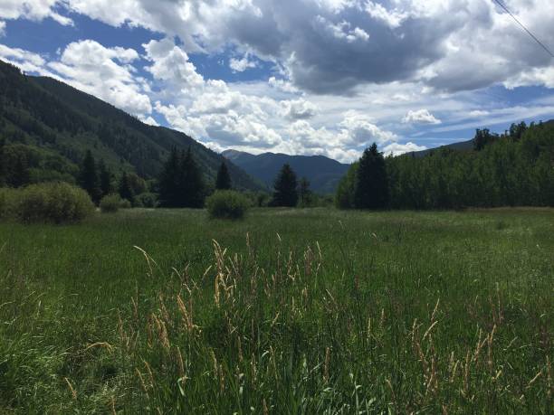 Colorado Vista