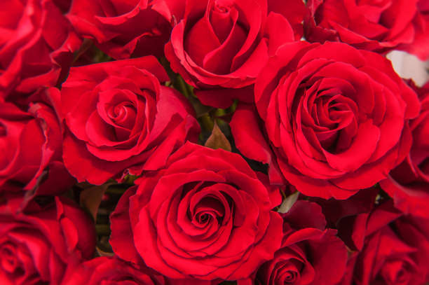 istock Wedding beautiful floral 1044382538
