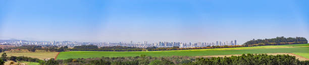 Panoramic view of Ribeirao Preto, Sao Paulo state, Brazil. Sugar cane plantation in front Panoramic view of Ribeirao Preto, Sao Paulo state, Brazil. Sugar cane plantation in front ribeirão preto stock pictures, royalty-free photos & images