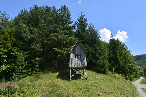 hunting, watchtower, nature, sport