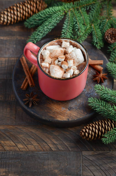 istock Hot chocolate with marshmallows on rustic wooden background. Christmas concept decorated with Fir branches and Cones. 1044388556