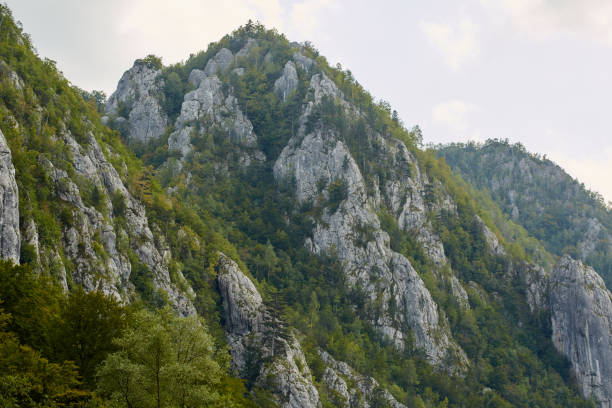 istock Mountain and forests 1044391760