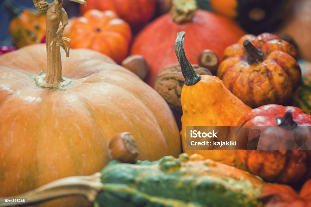 Dekorierten Herbst Hintergrund - Lizenzfrei Ahorn Stock-Foto