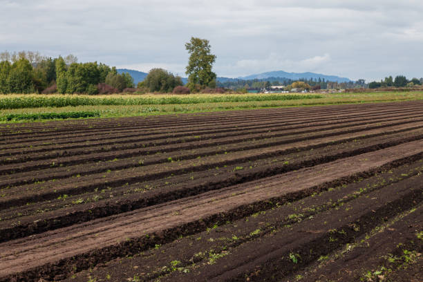 istock Farmers Field 1044395316