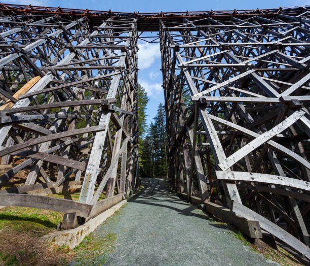 Kinsol Railway Trestle Panorama