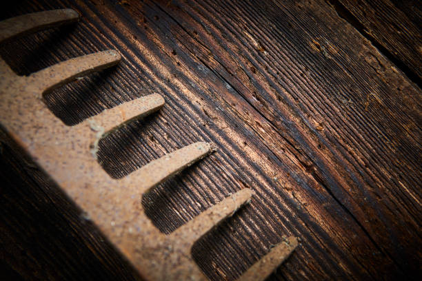 istock Old rusty rake lying on a bare wooden board. 1044395734
