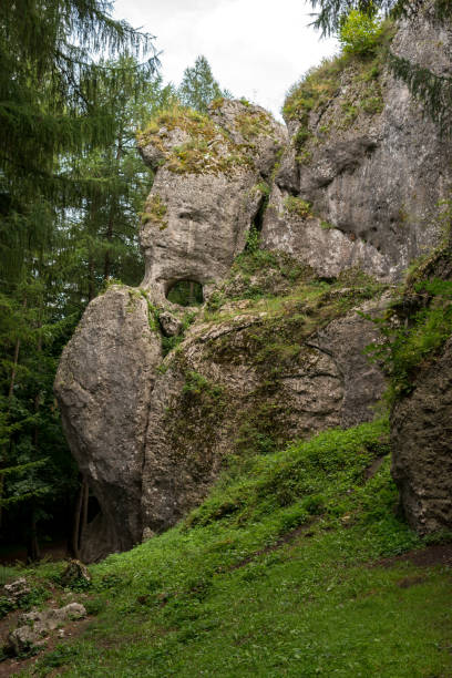 istock limestone outliers in a forerst 1044402658