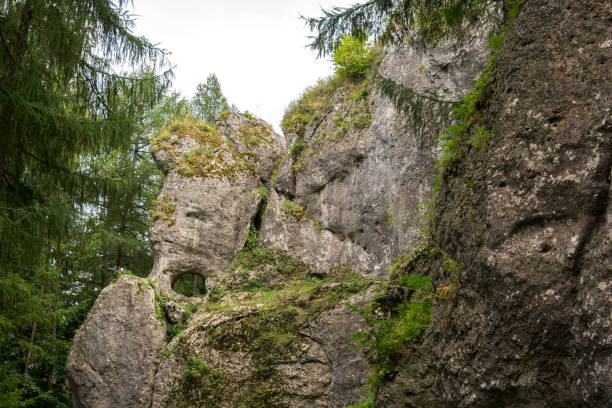 istock limestone outliers in a forerst 1044402942