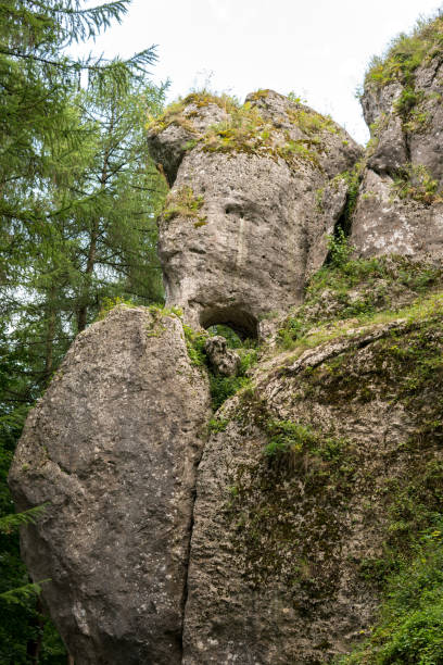 istock limestone outliers in a forerst 1044403150