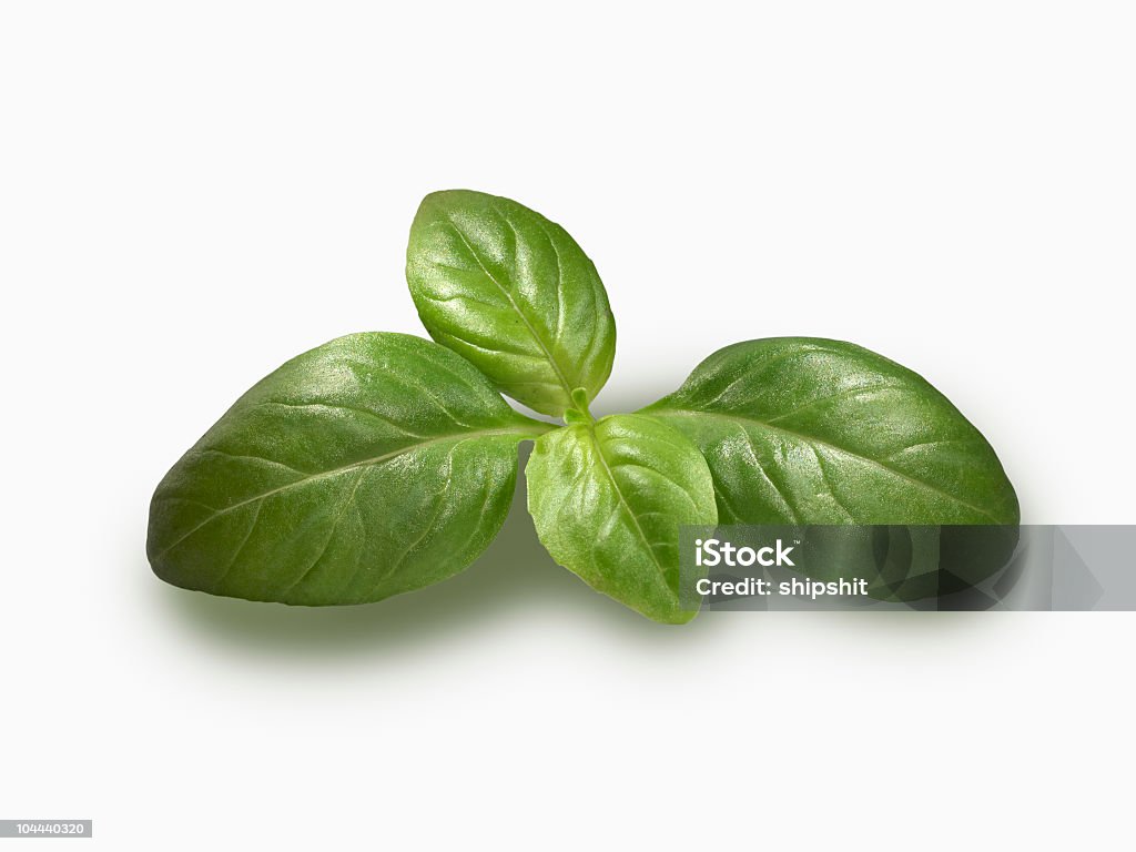 Basil sprig - Foto de stock de Aceite para cocinar libre de derechos