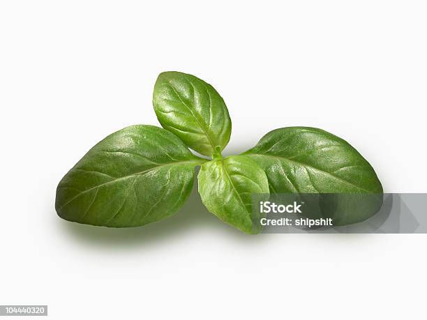 Basil Sprig Foto de stock y más banco de imágenes de Aceite para cocinar - Aceite para cocinar, Albahaca, Alimento