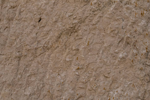 istock texture of jurassic limestone rock 1044406364