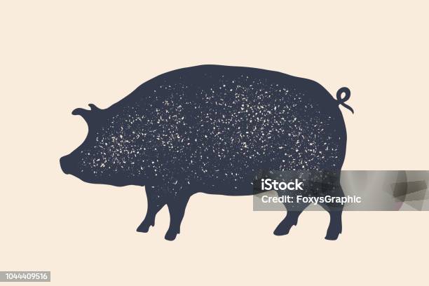 Cochon Porc Étiquette Vintage Rétro Impression Affiche Pour Boucherie Vecteurs libres de droits et plus d'images vectorielles de Porc - Mammifère ongulé