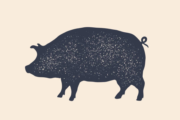 돼지, 돼지고기 빈티지 라벨, 복고풍 인쇄, 도살에 대 한 포스터 - pig silhouette animal livestock stock illustrations