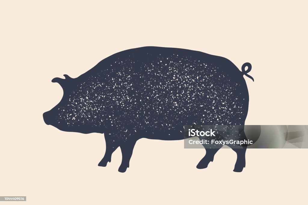 Pig, pork. Vintage label, retro print, poster for Butchery Pig, pork. Vintage label, retro print, poster for Butchery meat shop, pig silhouette. Label template for meat business, meat shop. Isolated black silhouette pig on white background. Vector Illustration Pig stock vector