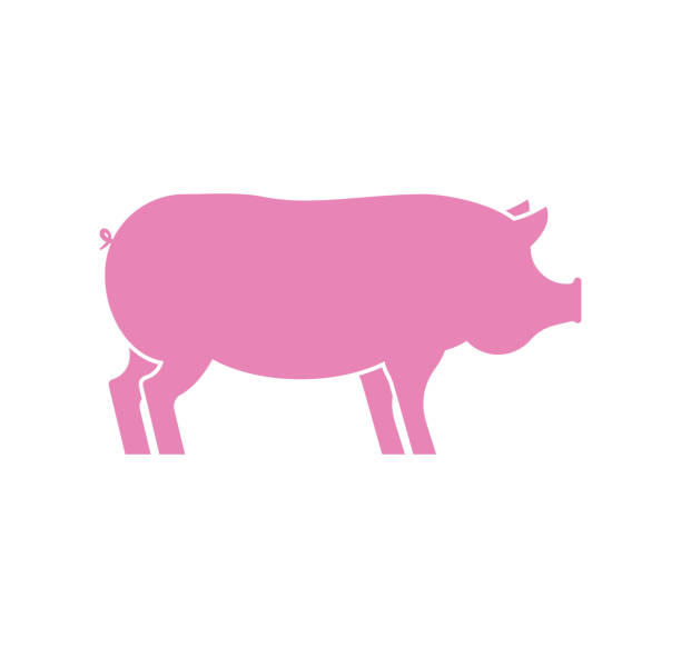 ilustraciones, imágenes clip art, dibujos animados e iconos de stock de icono de cerdo aislado. cochinillo de la rosa. animal de la granja porcina. ilustración de vector - piggy bank currency business coin