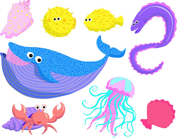 Sea creatures set 1  hermit crab stock illustrations