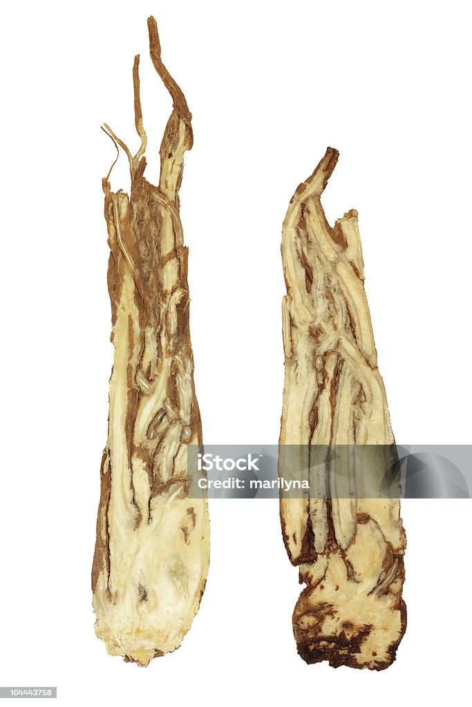 Angelica Herb Root - Foto stock royalty-free di Angelica - Erba aromatica