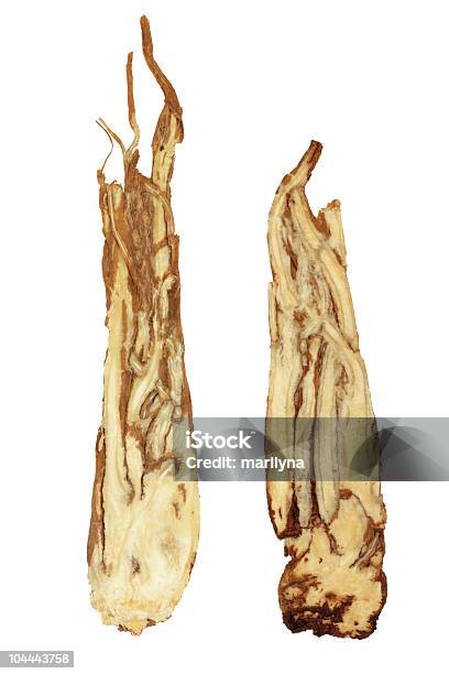 Angelica Herb Root - Fotografie stock e altre immagini di Angelica - Erba aromatica - Angelica - Erba aromatica, Composizione verticale, Cultura cinese