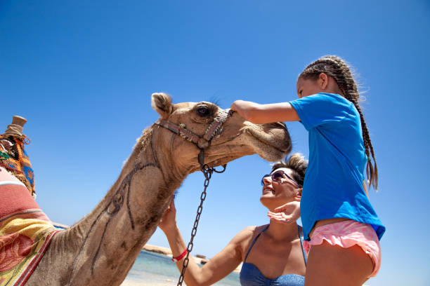 istock Mother and Daughter Stroking a Camel in Egypt 1044448640