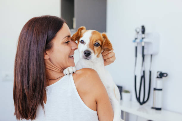 alegre mujer y perros - doctor dog portrait animal hospital fotografías e imágenes de stock