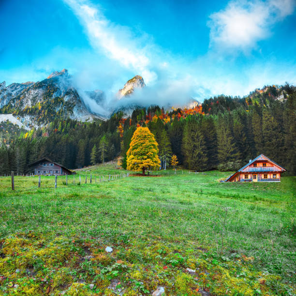 Beautiful view of idyllic colorful autumn scenery with Dachstein mountain summit by Gosausee mountain lake in fall Salzkammergut region Upper Austria Austria