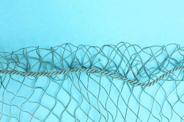 istock Fishing net with space for your text. Blue background for a fishery theme. 1044460816