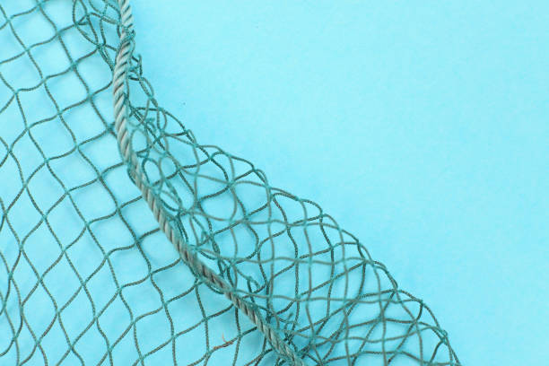 istock Fishing net with space for your text. Blue background for a fishery theme. 1044460842