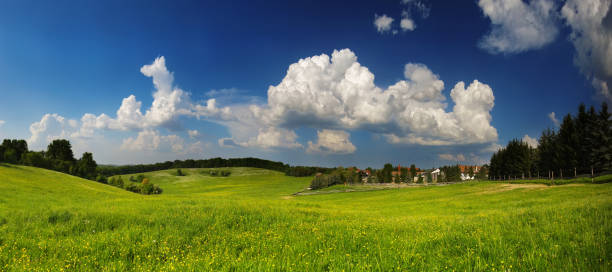 A serene rural landscape featuring a lush green meadow beneath a vibrant blue sky adorned with towering white clouds, evoking tranquility and a connection with nature.