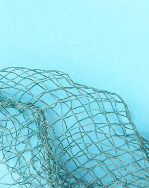 istock Fishing net with space for your text. Blue background for a fishery theme. 1044461002