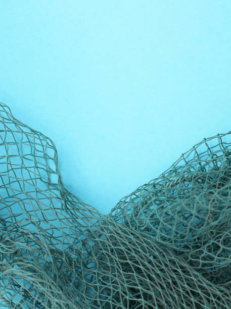 istock Fishing net with space for your text. Blue background for a fishery theme. 1044461018