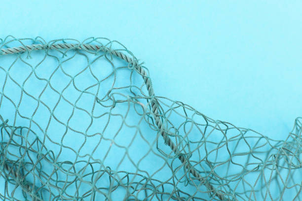 istock Fishing net with space for your text. Blue background for a fishery theme. 1044461632
