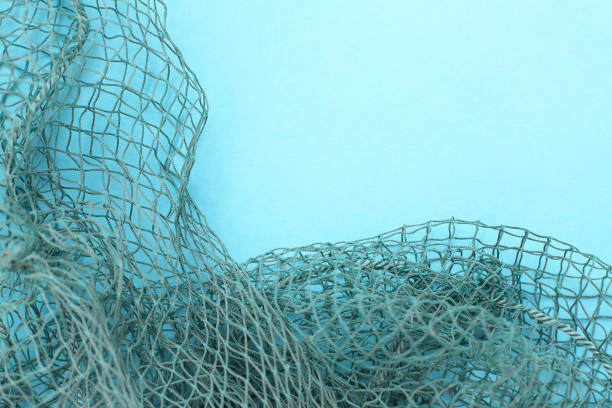 istock Fishing net with space for your text. Blue background for a fishery theme. 1044462238