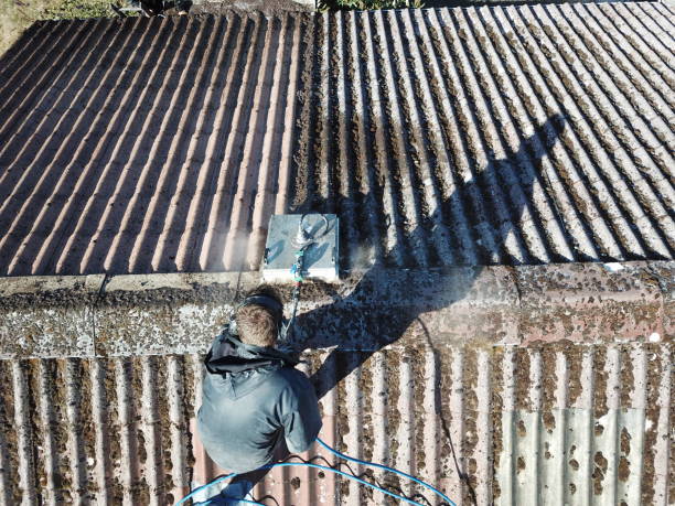 Man cleaning Roof stock photo