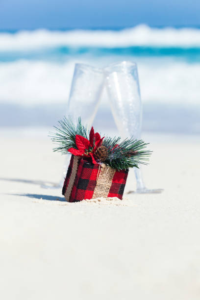istock Tropical Christmas greeting card 1044472680