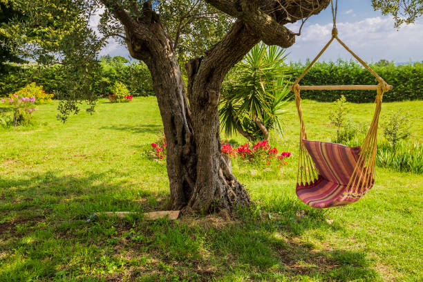 istock Hammock in the garden 1044482750
