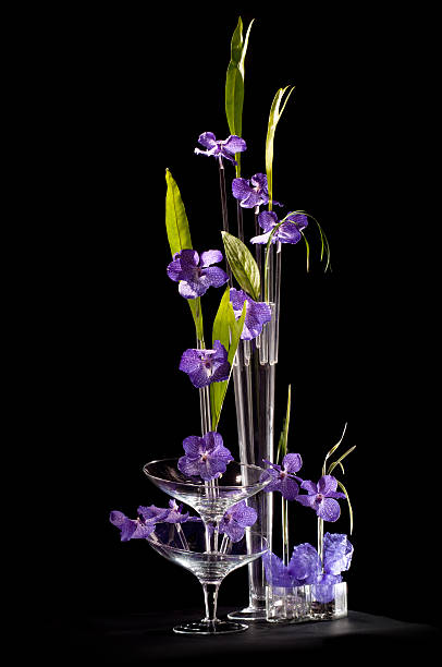 Vanda orchidee accordo - foto stock