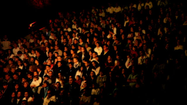 Crowd of people waiting for the concert beginning