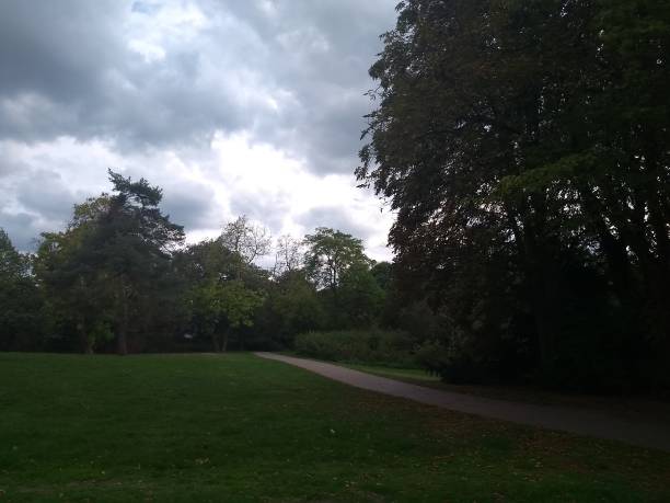istock Superb vivid green park lawn and foliage 1044490286