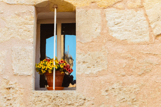 Window with shutters and flowers in old building in  Switzerland