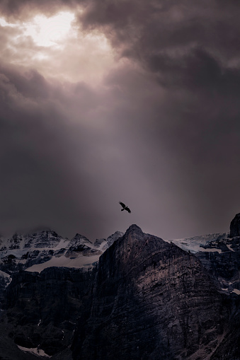 Some eagles are flying over snow mountain in Lake louise.