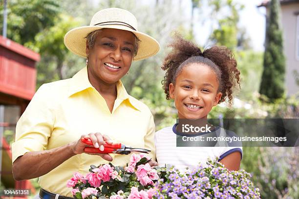 Avó Com A Neta Jardinagem - Fotografias de stock e mais imagens de Jardinagem - Jardinagem, Avó, Afro-americano