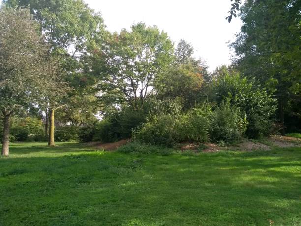 istock Scenic German summer park with lawn and trees 1044520538